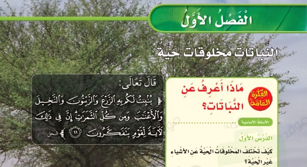 حل الفصل الاول