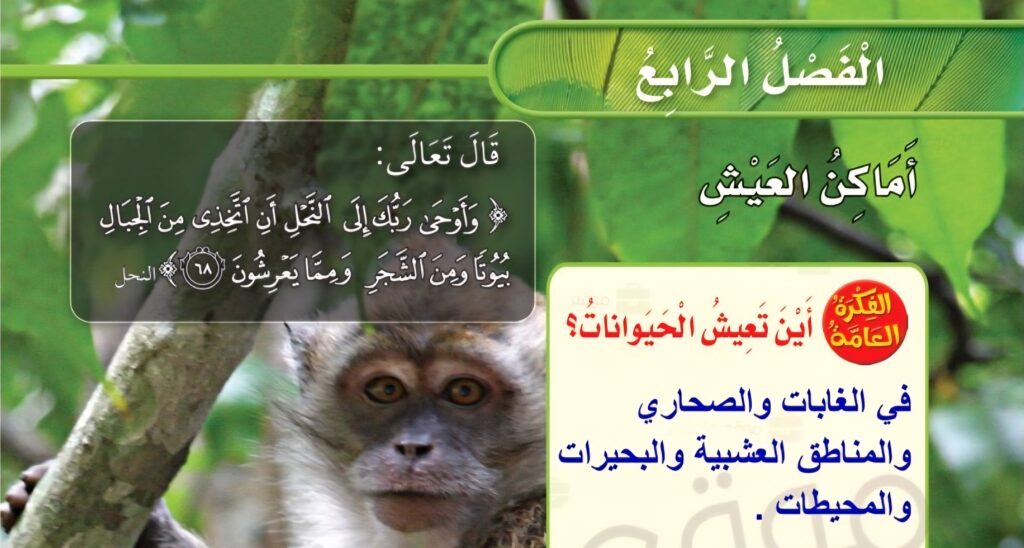 حل الفصل الرابع