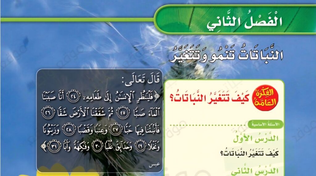حل الفصل الثاني