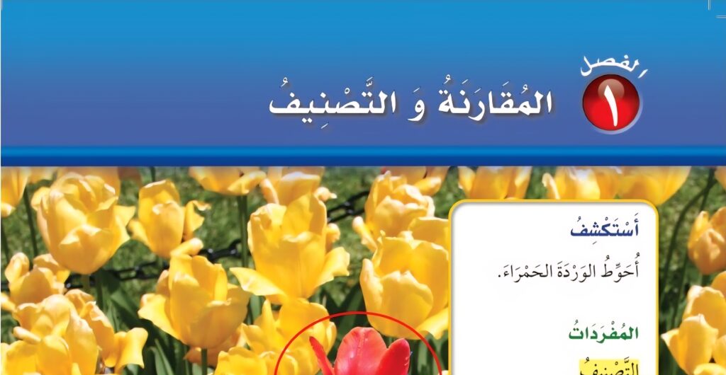 حل الفصل الاول