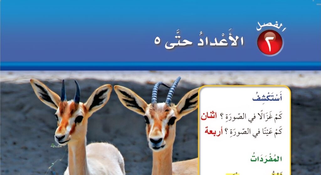 حل الفصل الثاني