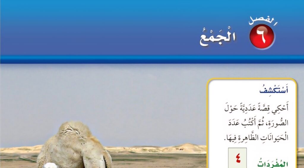 حل الفصل السادس