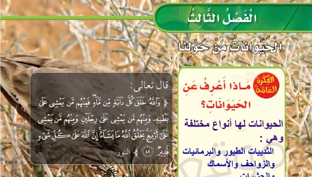 حل الفصل الثالث
