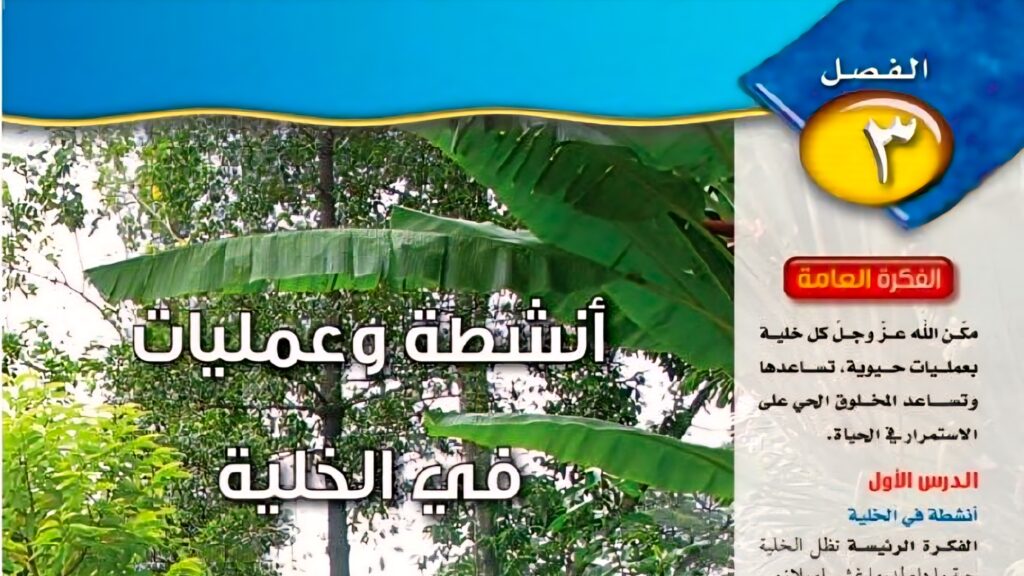 حل الفصل الثالث