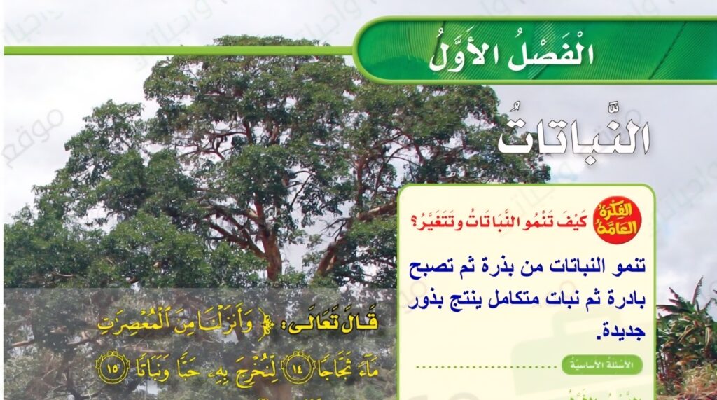 حل الفصل الاول