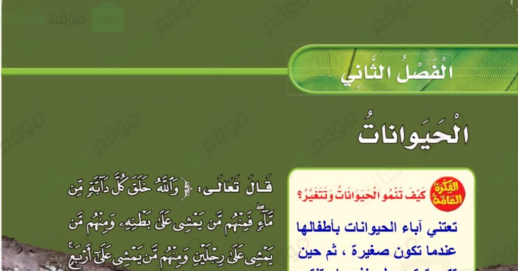 حل الفصل الثاني