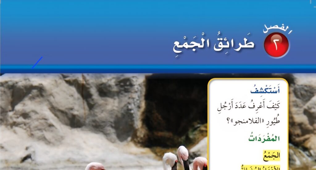 حل الفصل الثاني