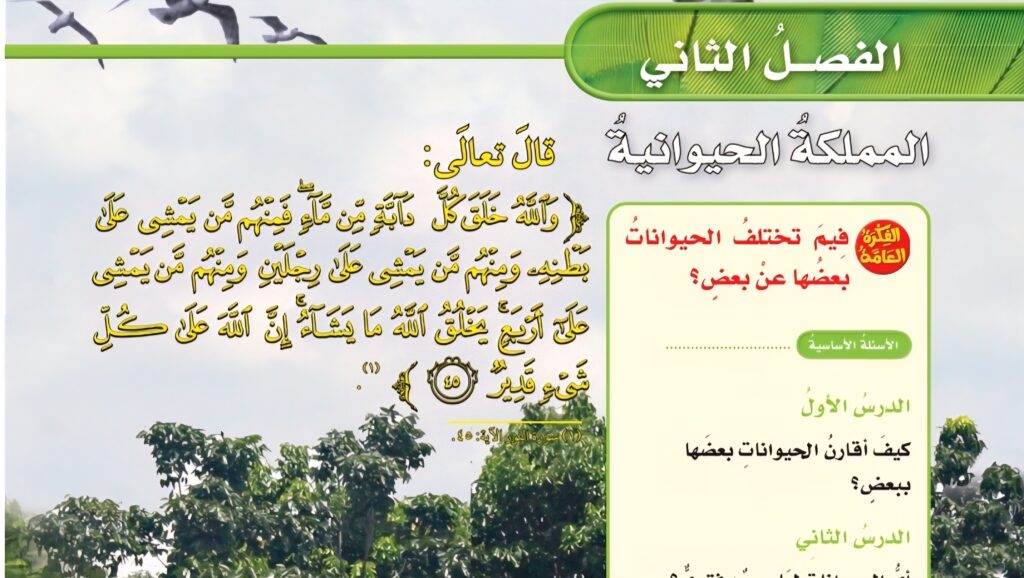 حل الفصل الثاني