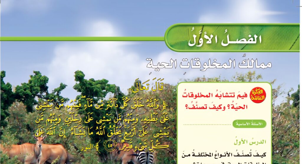 حل الفصل الاول