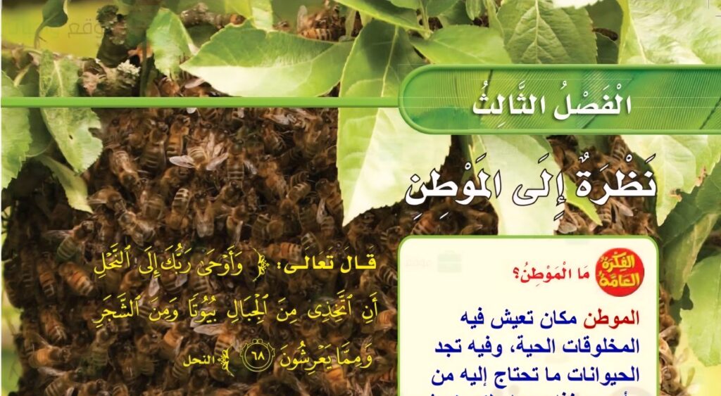 حل الفصل الثالث