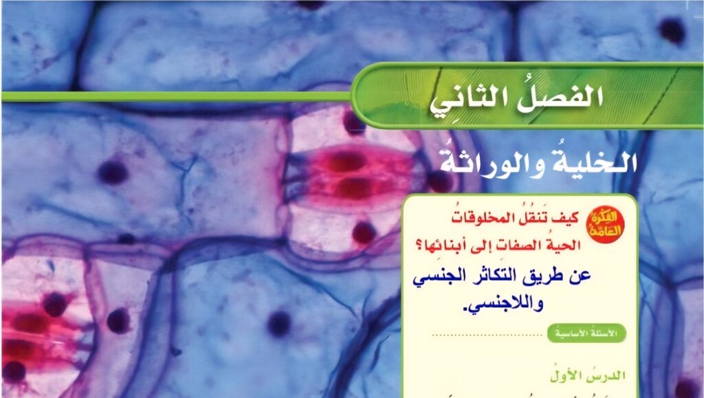 حل الفصل الثاني