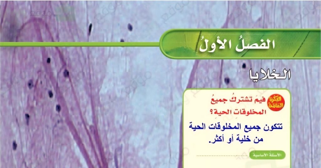 حل الفصل الاول