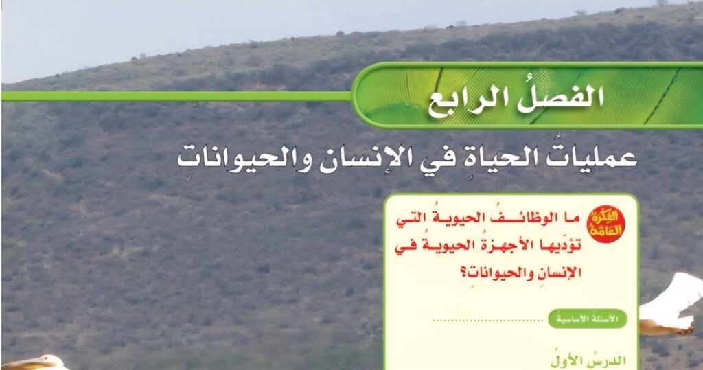 حل الفصل الرابع