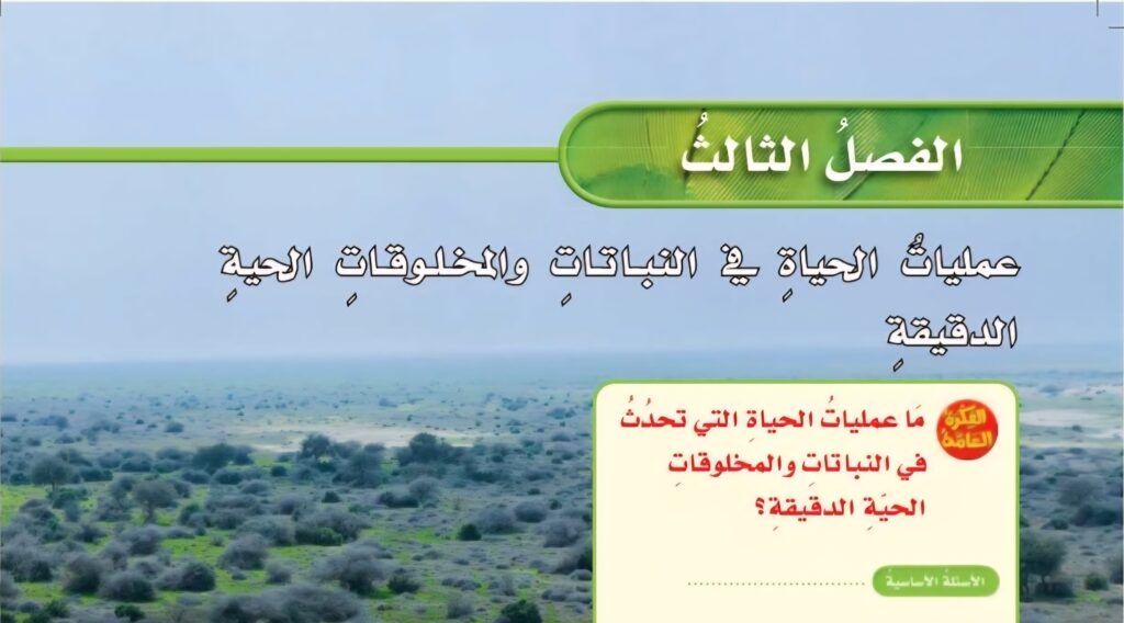 حل الفصل الثالث