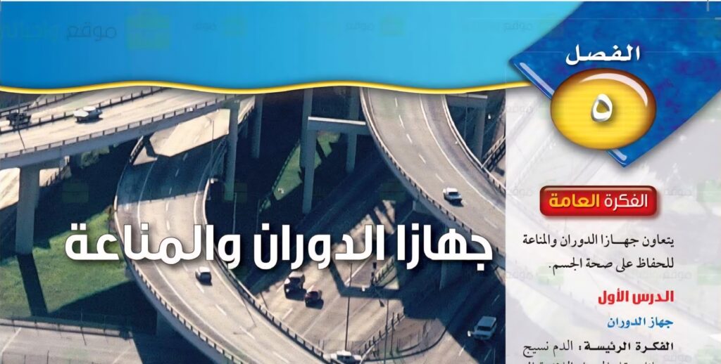 حل الفصل الخامس