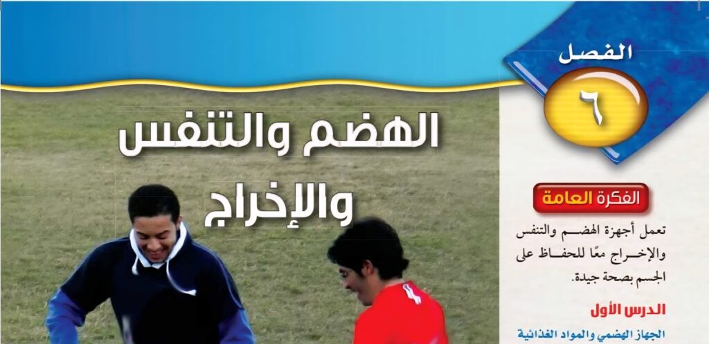 حل الفصل السادس