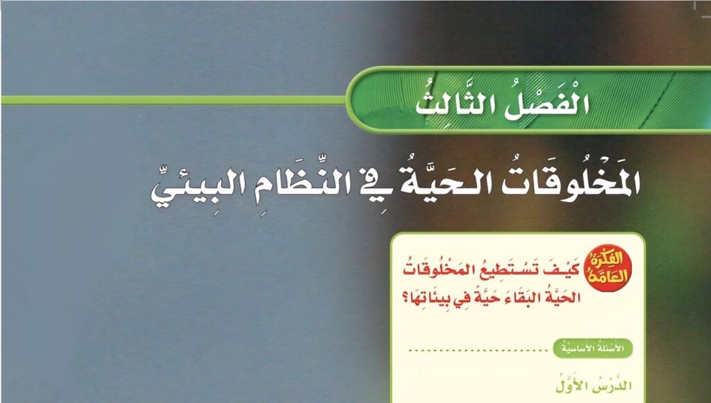 حل الفصل الثالث