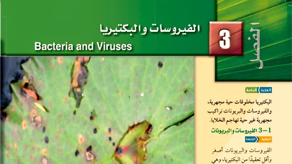 حل الفصل 3 البكتيريا والفيروسات