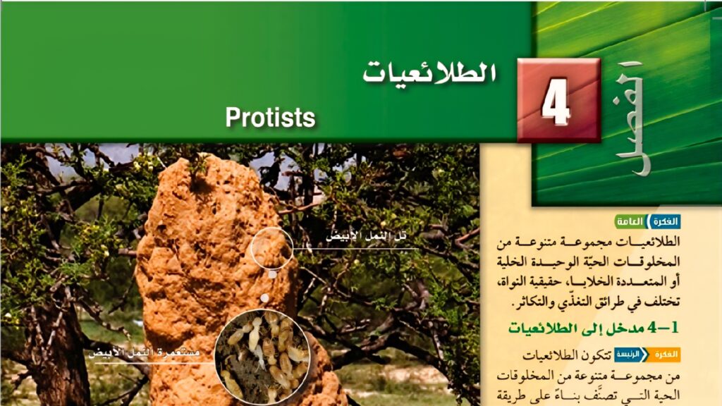 حل الفصل 4 الطلائعيات