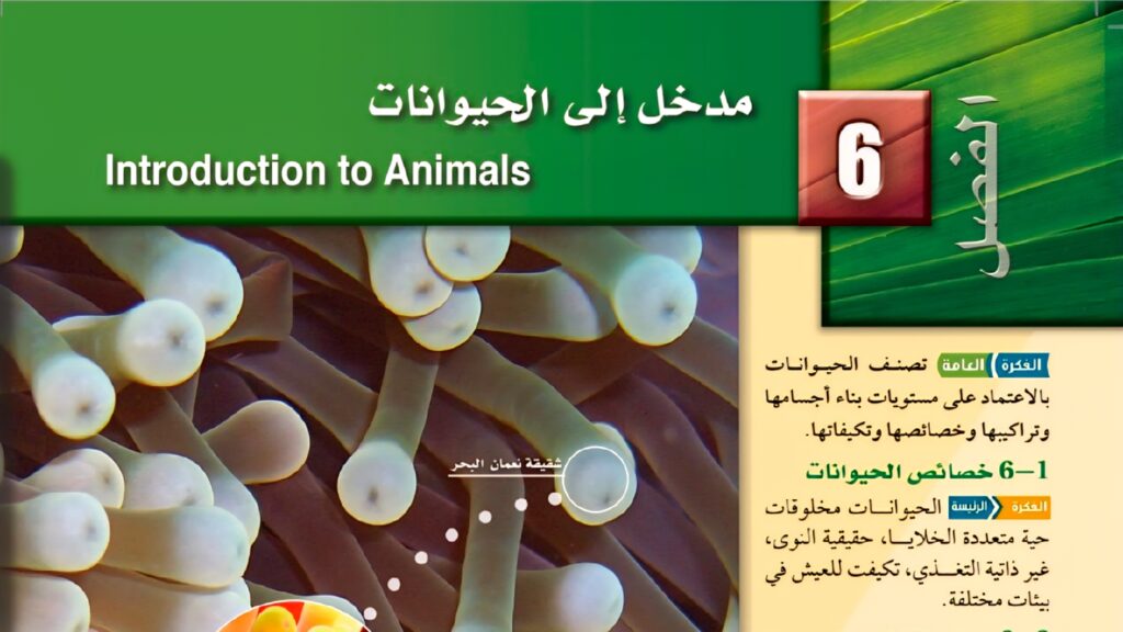 حل الفصل 6 مدخل الى الحيوانات