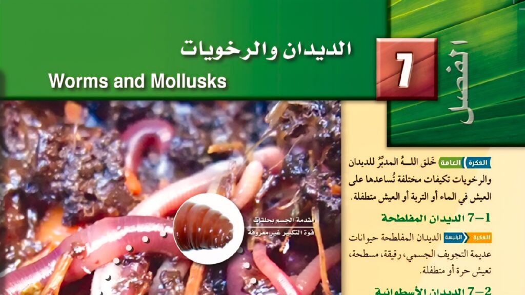 حل الفصل 7 الديدان والرخويات