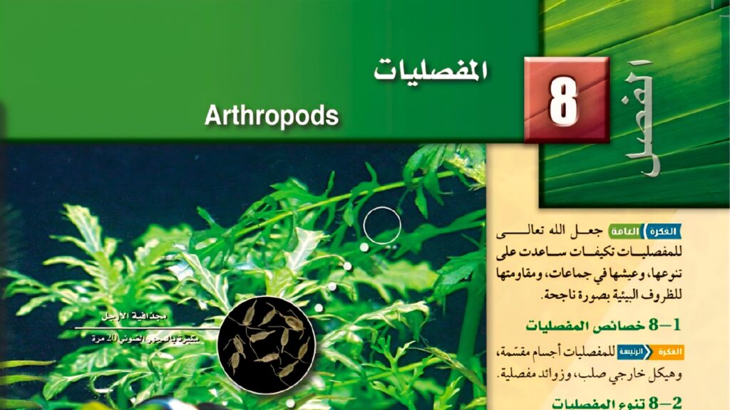 حل الفصل 8 المفصليات