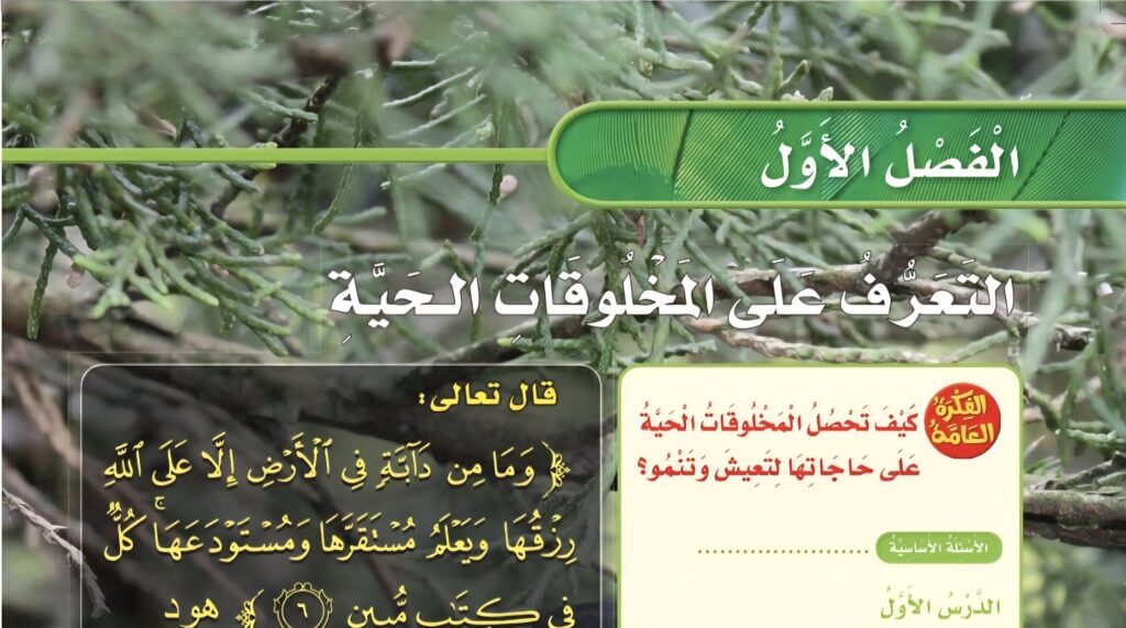 حل الفصل الاولى