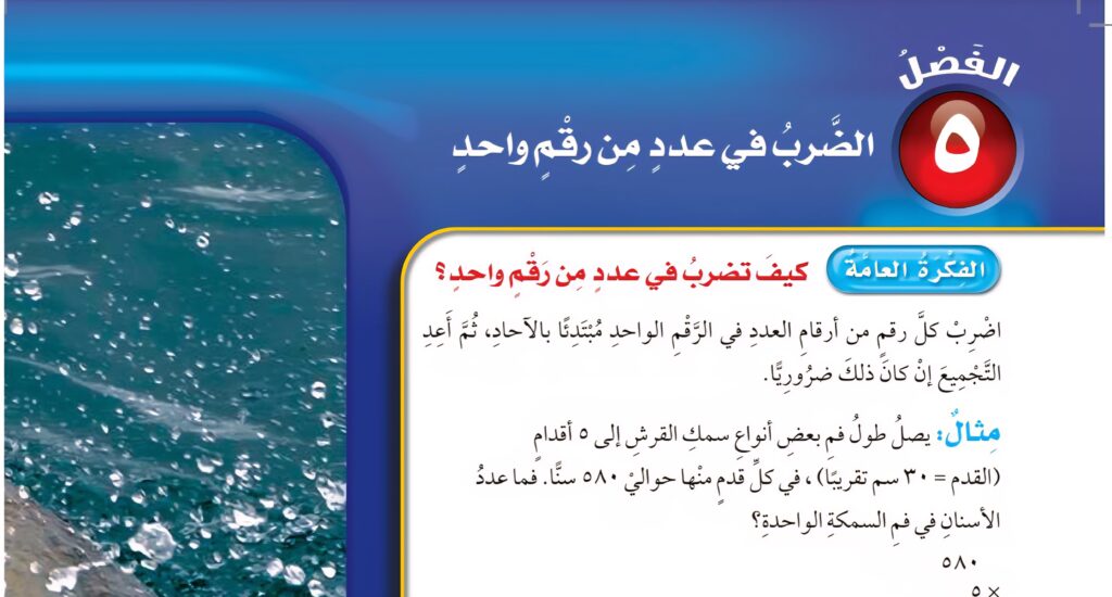 حل الفصل الخامس