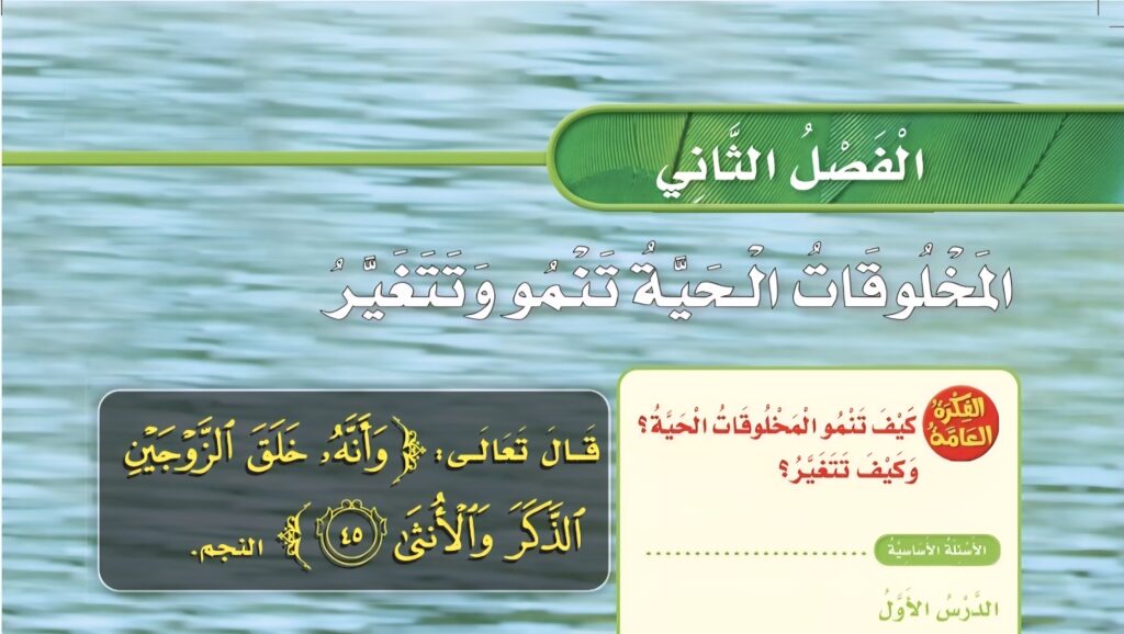حل الفصل الثاني